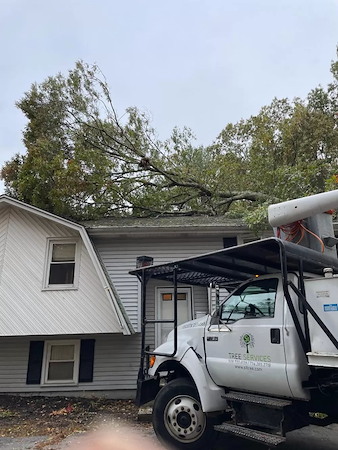 Marlborough emergency storm damage prep protecting property from new england noreasters